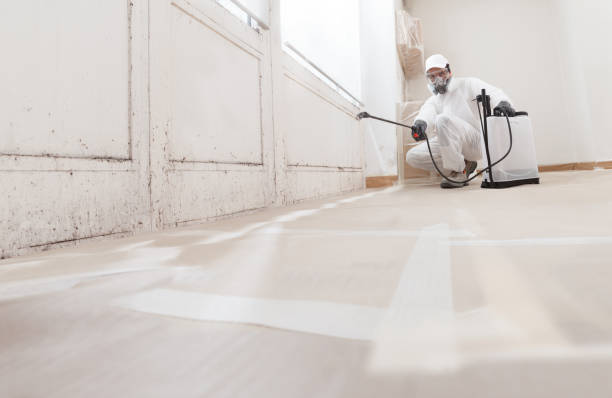 24/7 Emergency Mold Inspection experts in Bartlett, IL