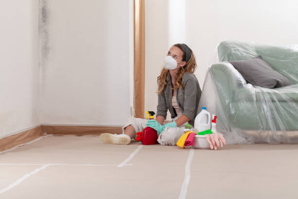 Reliable Mold Inspection contractor in Bartlett, IL by WQB Mold Removal